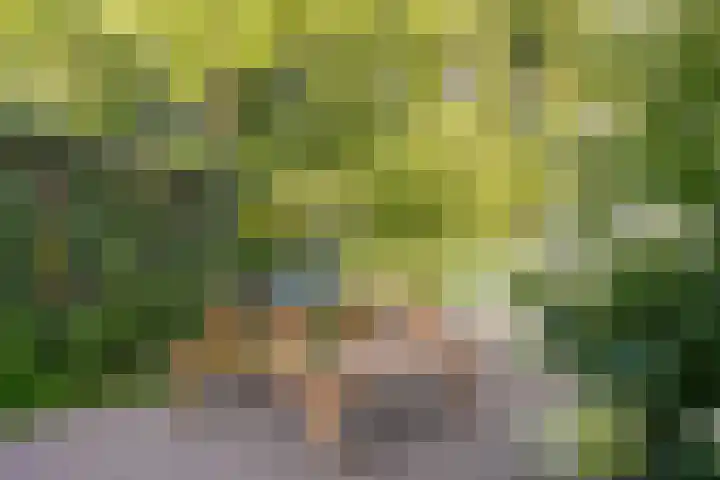 Jan Tooroplaan 53 Amstelveen thumbnail 55
