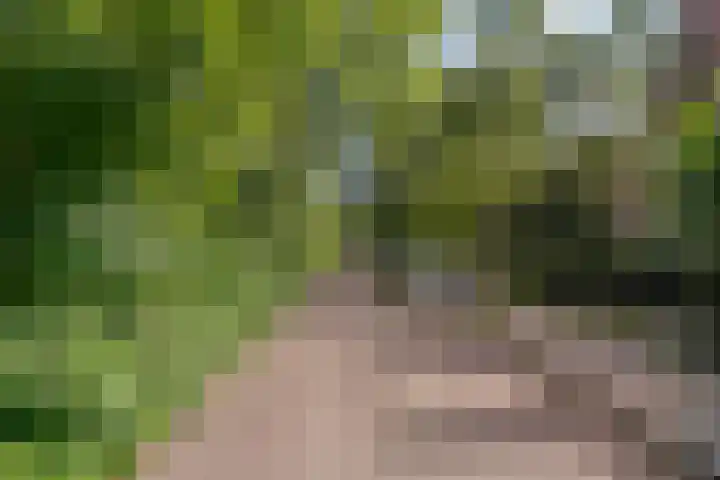 Jan Tooroplaan 53 Amstelveen thumbnail 61