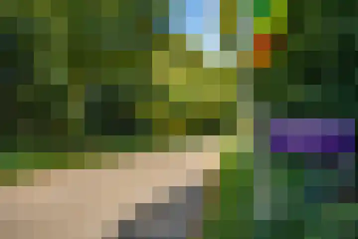 Jan Tooroplaan 53 Amstelveen thumbnail 62