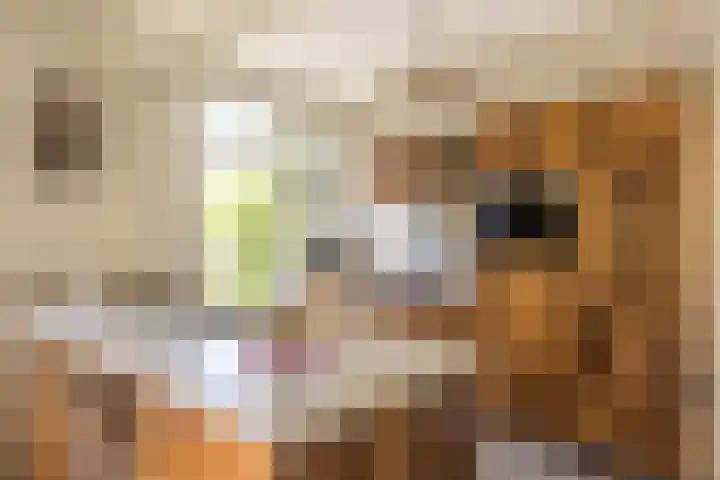 Jan Tooropplantsoen 1 Amstelveen thumbnail 10