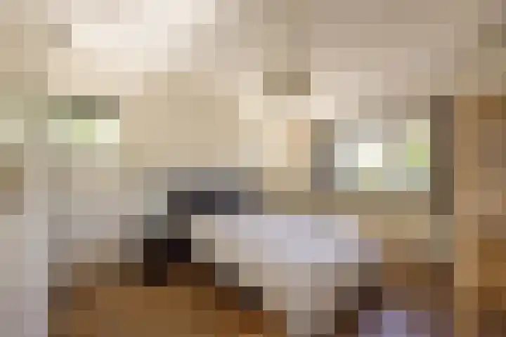 Jan Tooropplantsoen 1 Amstelveen thumbnail 14