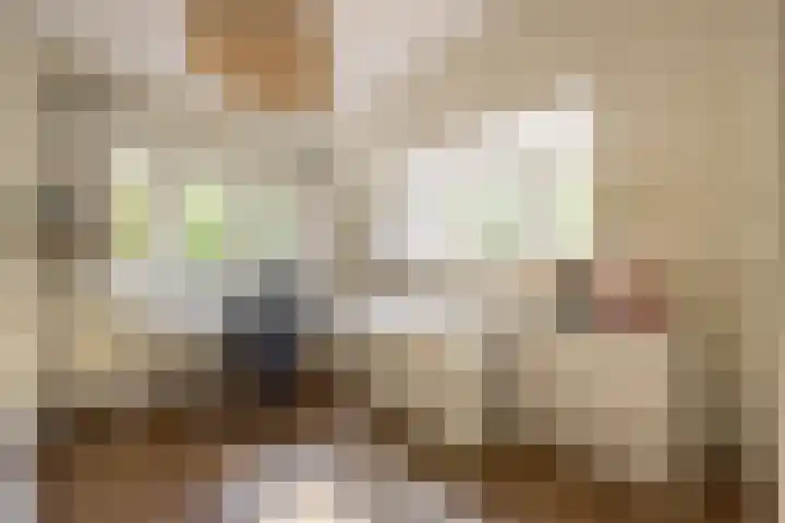 Jan Tooropplantsoen 1 Amstelveen thumbnail 16