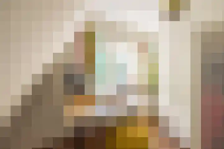 Jan Tooropplantsoen 1 Amstelveen thumbnail 18