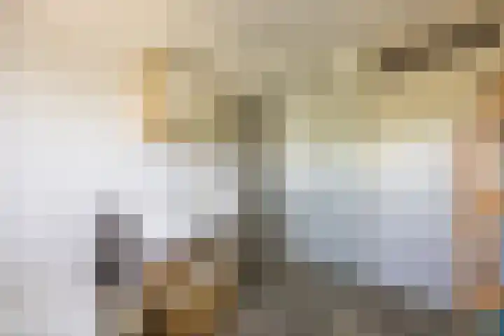 Jan Tooropplantsoen 1 Amstelveen thumbnail 20