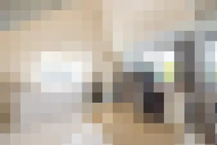 Jan Tooropplantsoen 1 Amstelveen thumbnail 23