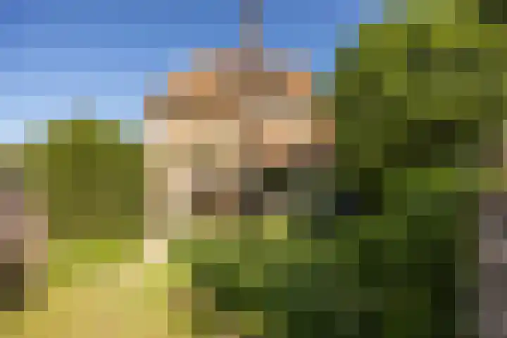 Jan Tooropplantsoen 1 Amstelveen thumbnail 26