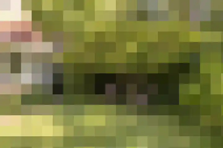 Jan Tooropplantsoen 1 Amstelveen thumbnail 28