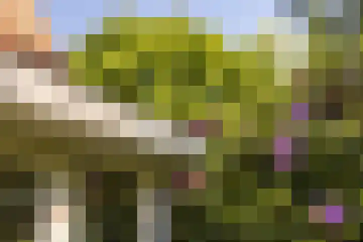 Jan Tooropplantsoen 1 Amstelveen thumbnail 29