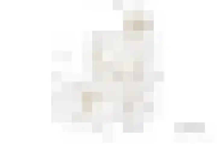 Jan Tooropplantsoen 1 Amstelveen thumbnail 37