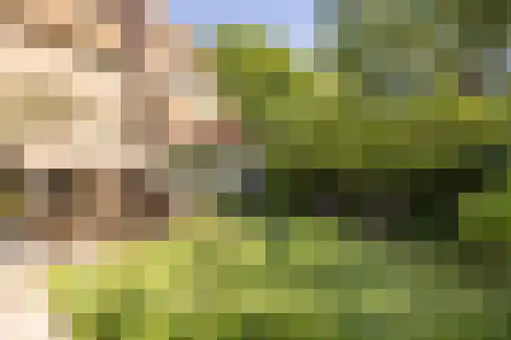 Jan Tooropplantsoen 1 Amstelveen thumbnail 4