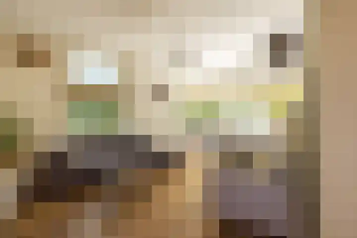Jan Tooropplantsoen 1 Amstelveen thumbnail 6