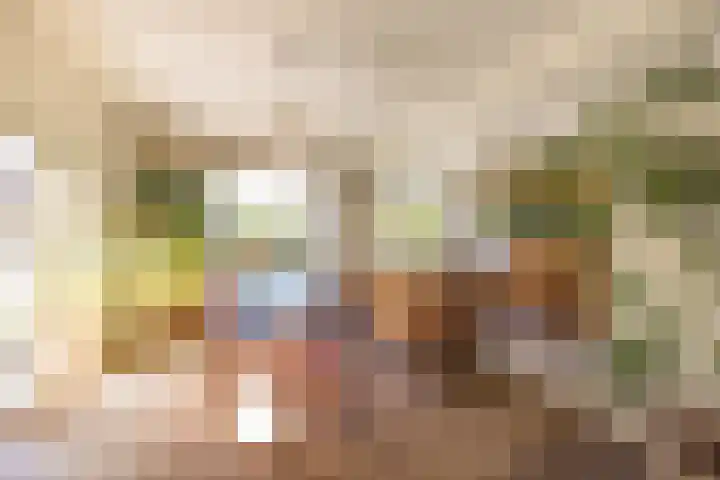 Jan Tooropplantsoen 1 Amstelveen thumbnail 9