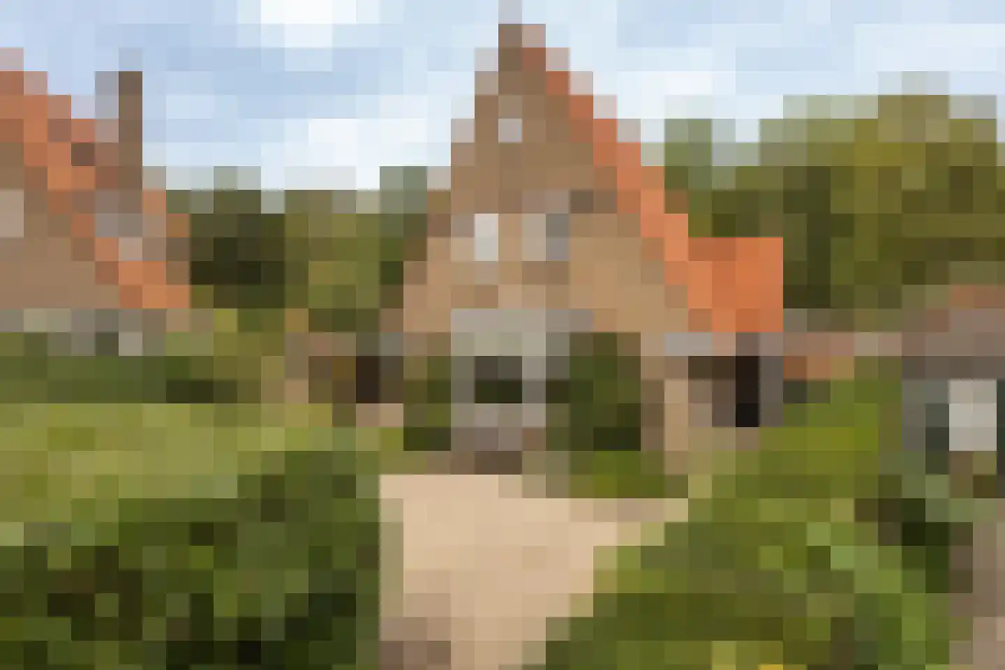 Jan Tooropplantsoen 12 Amstelveen