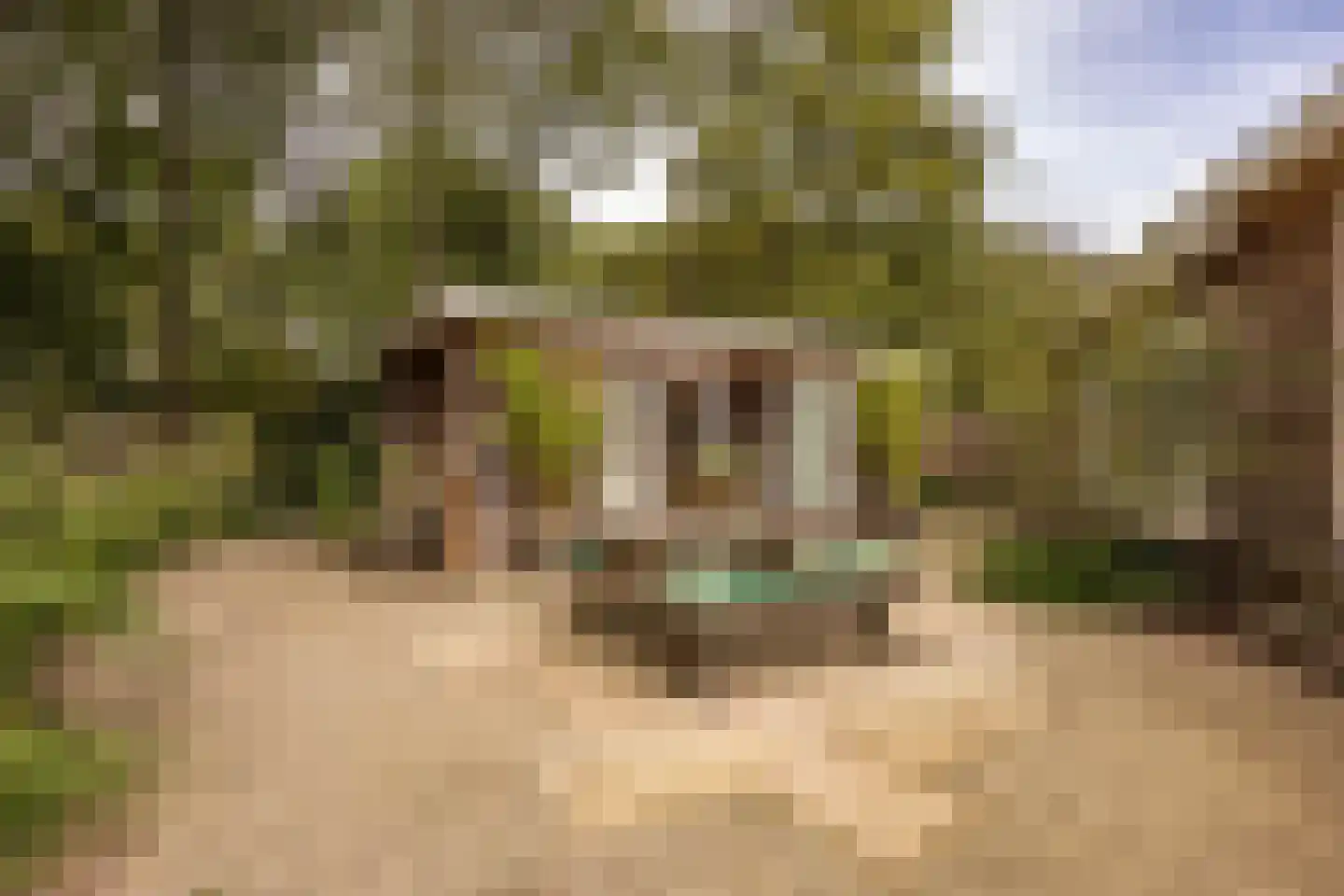 Jan Tooropplantsoen 12 Amstelveen thumbnail 14