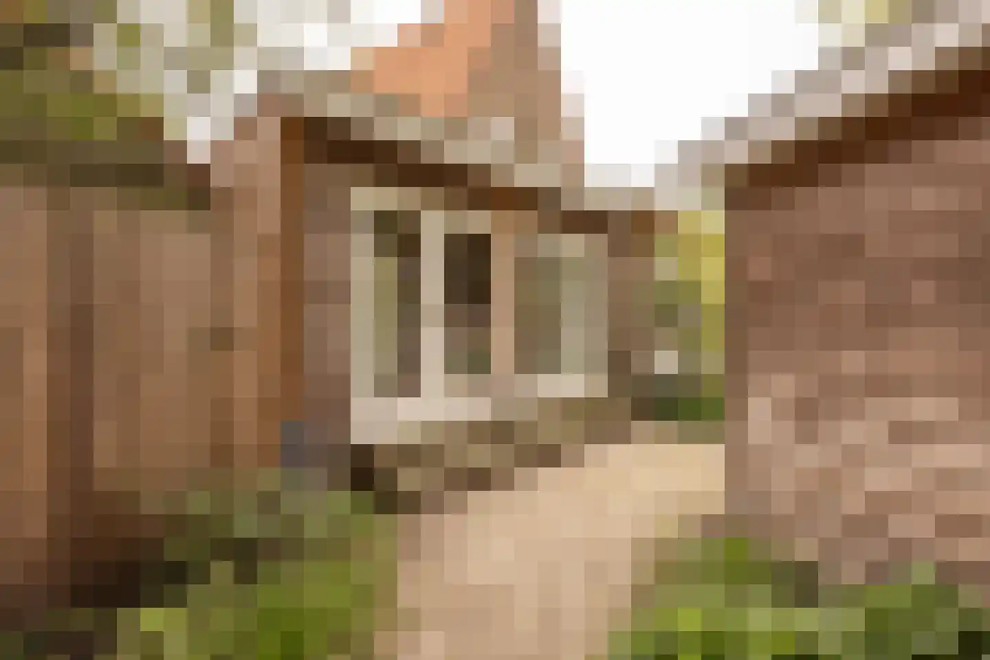 Jan Tooropplantsoen 12 Amstelveen thumbnail 17