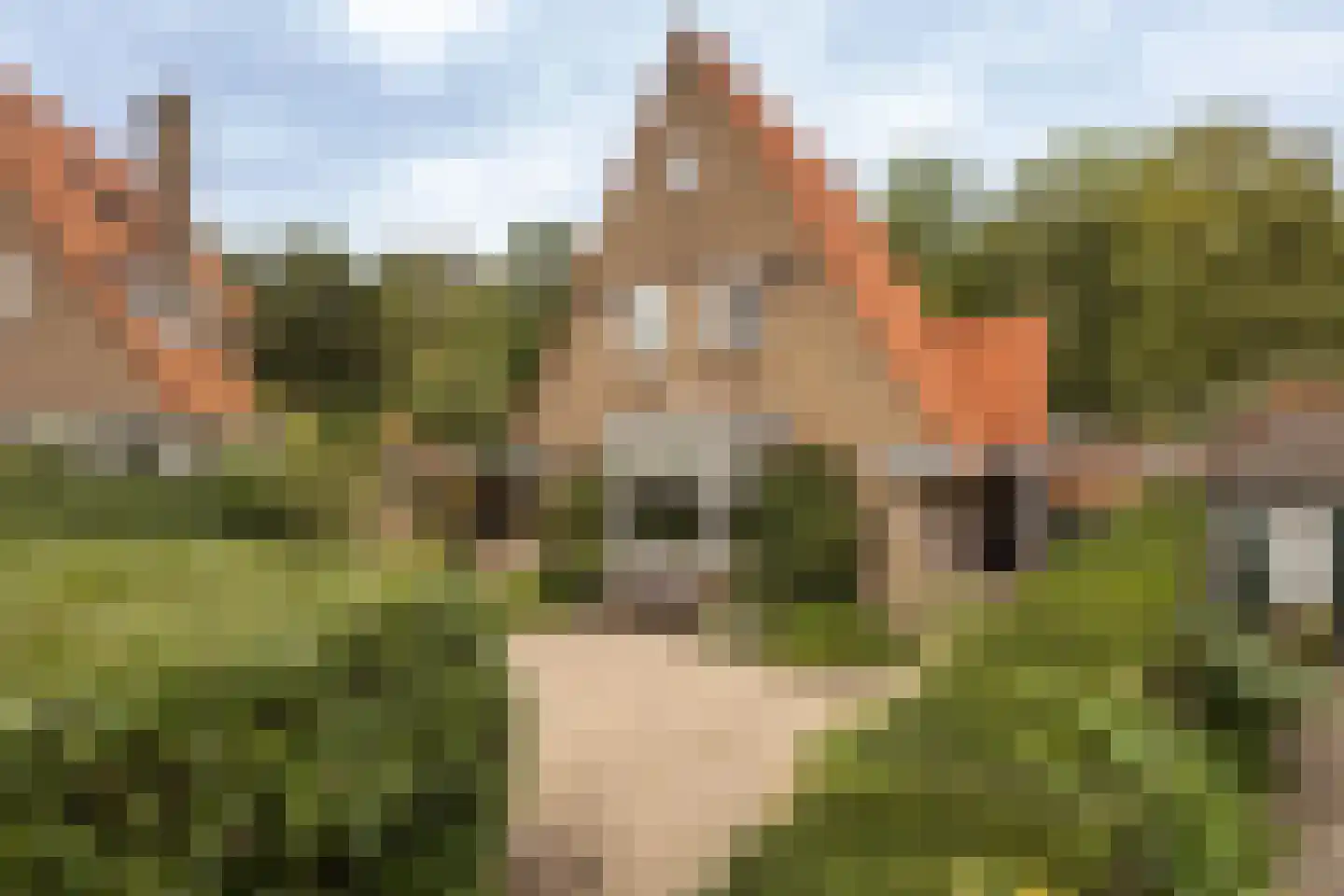 Jan Tooropplantsoen 12 Amstelveen foto 2