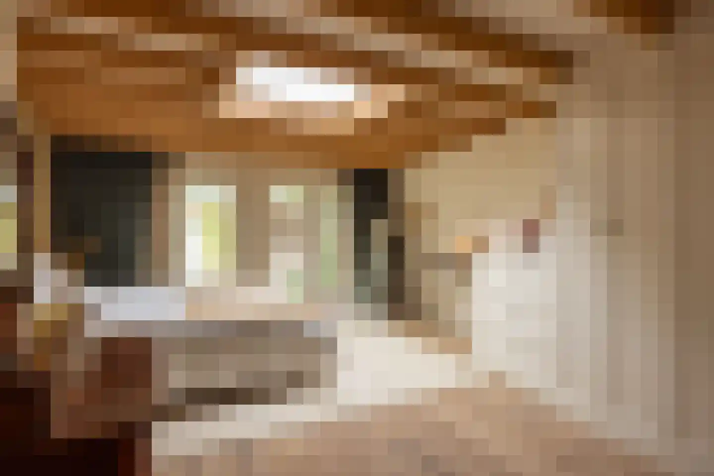 Jan Tooropplantsoen 12 Amstelveen thumbnail 20