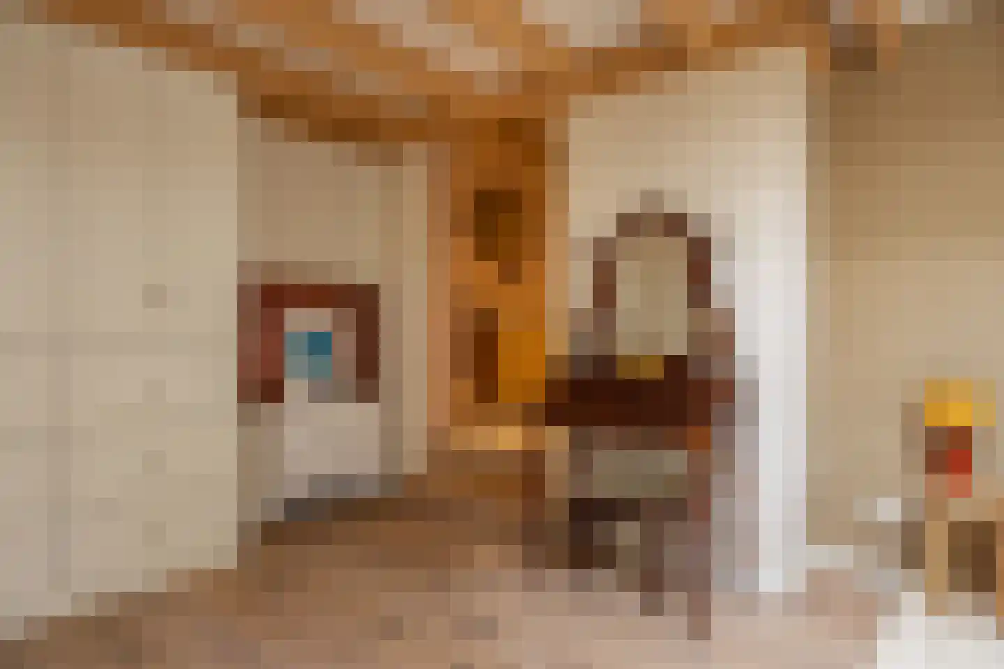 Jan Tooropplantsoen 12 Amstelveen thumbnail 21