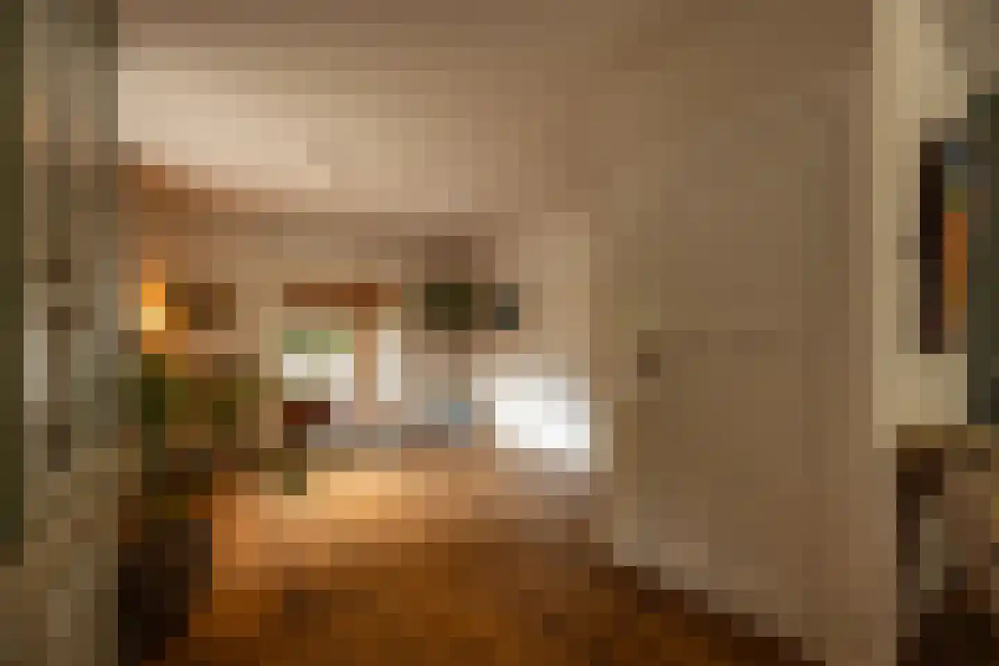 Jan Tooropplantsoen 12 Amstelveen thumbnail 24