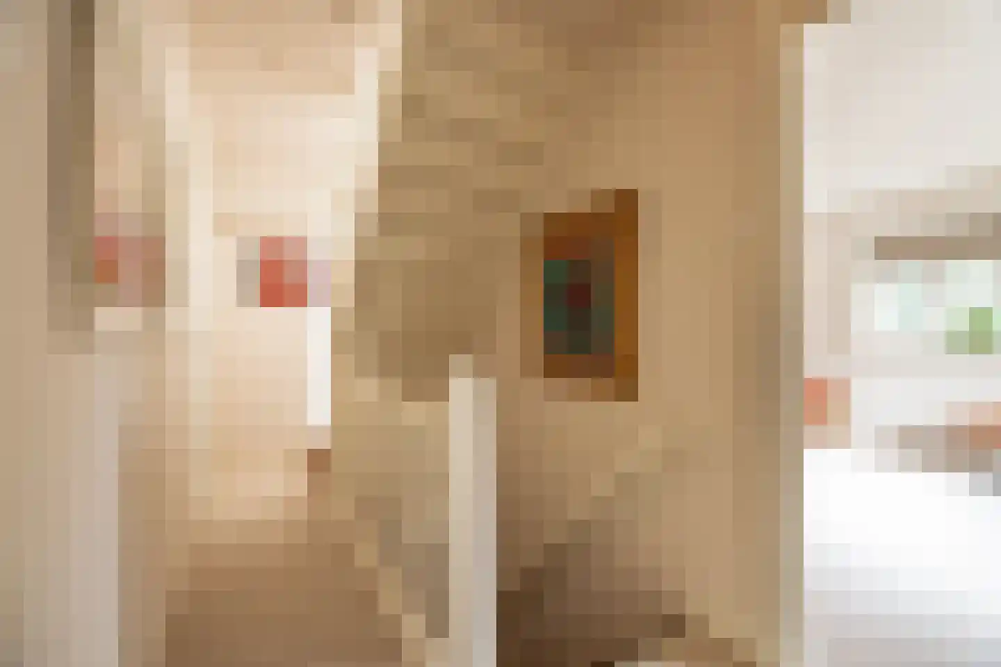 Jan Tooropplantsoen 12 Amstelveen thumbnail 28