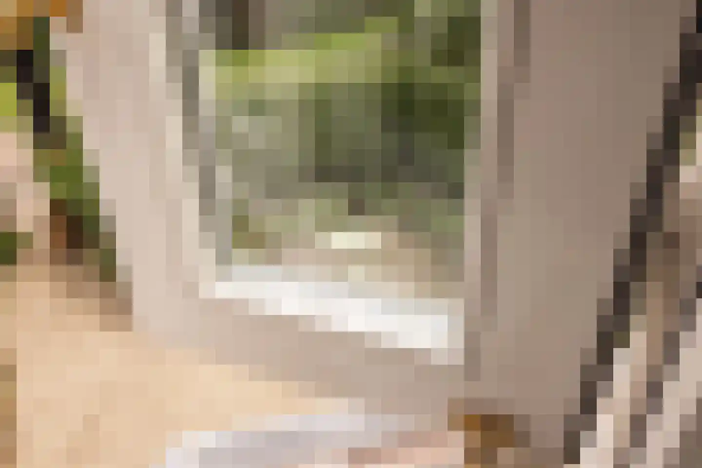 Jan Tooropplantsoen 12 Amstelveen thumbnail 31