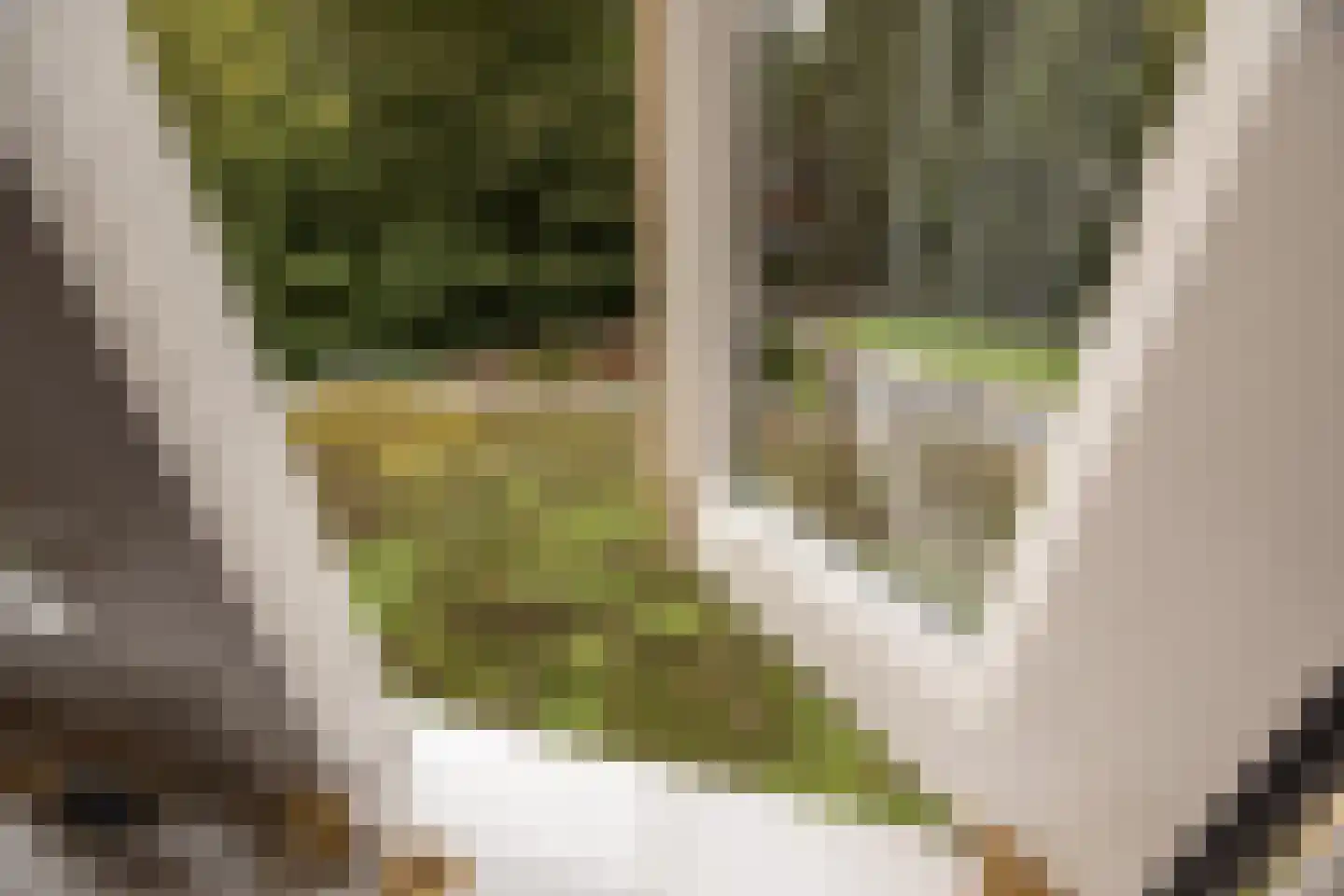 Jan Tooropplantsoen 12 Amstelveen thumbnail 34