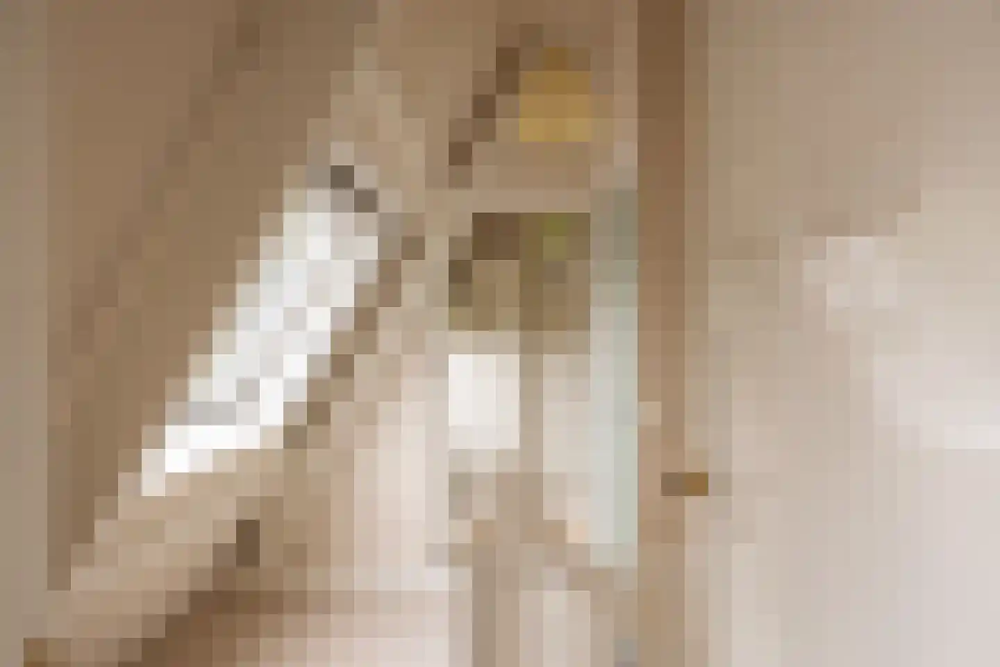 Jan Tooropplantsoen 12 Amstelveen thumbnail 38