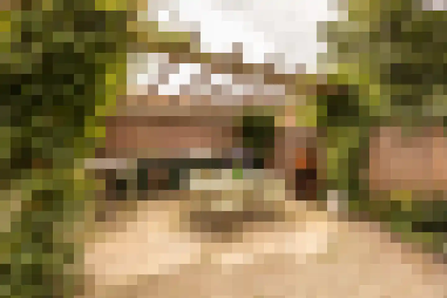 Jan Tooropplantsoen 12 Amstelveen thumbnail 41