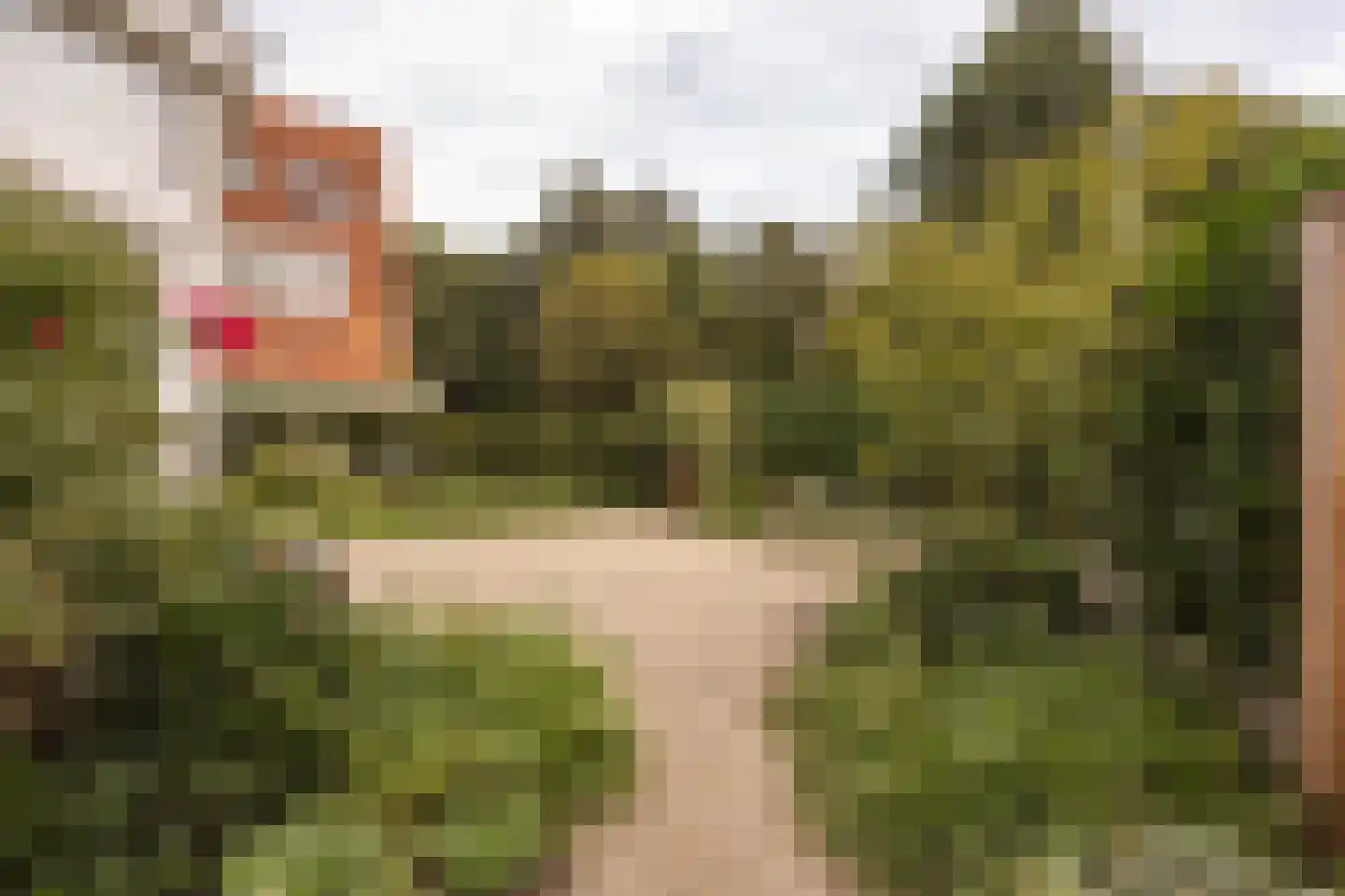 Jan Tooropplantsoen 12 Amstelveen thumbnail 47