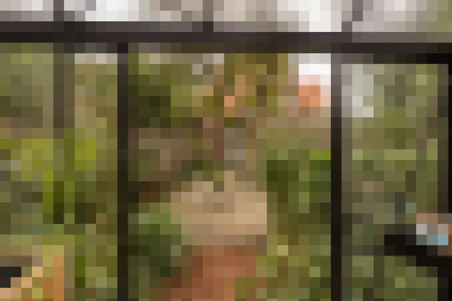 Jan Tooropplantsoen 12 Amstelveen thumbnail 48