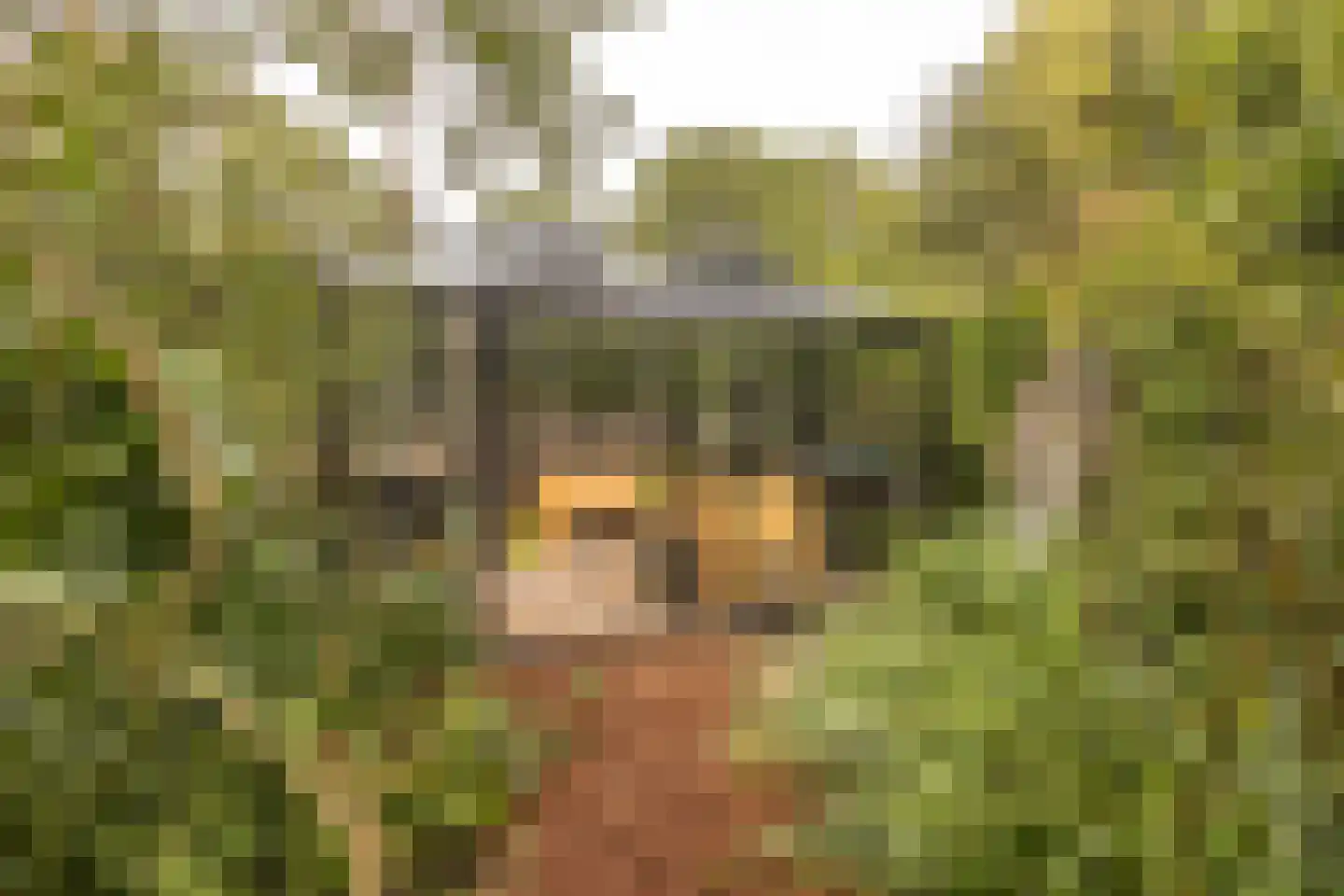Jan Tooropplantsoen 12 Amstelveen thumbnail 49