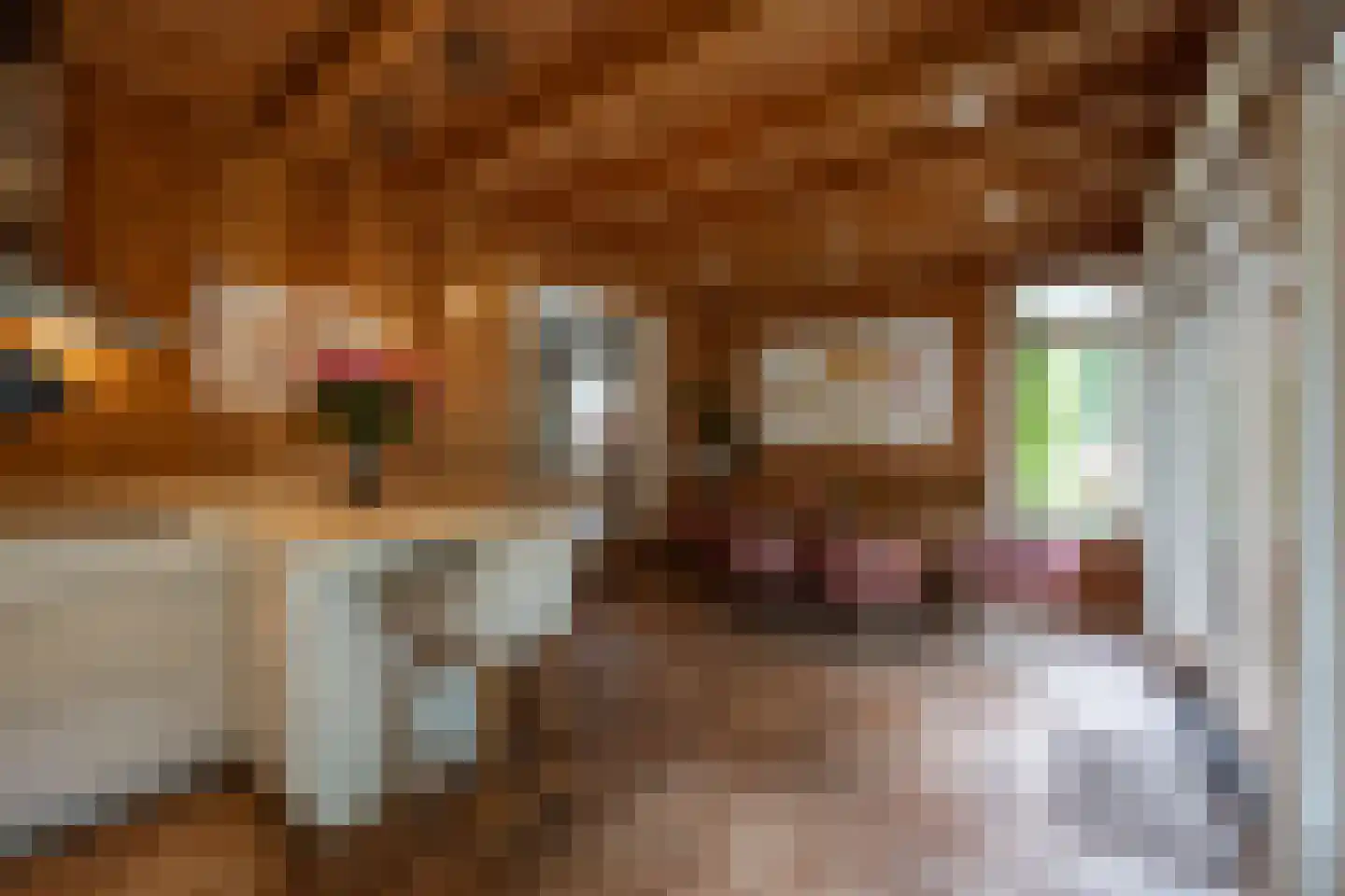 Jan Tooropplantsoen 12 Amstelveen thumbnail 5