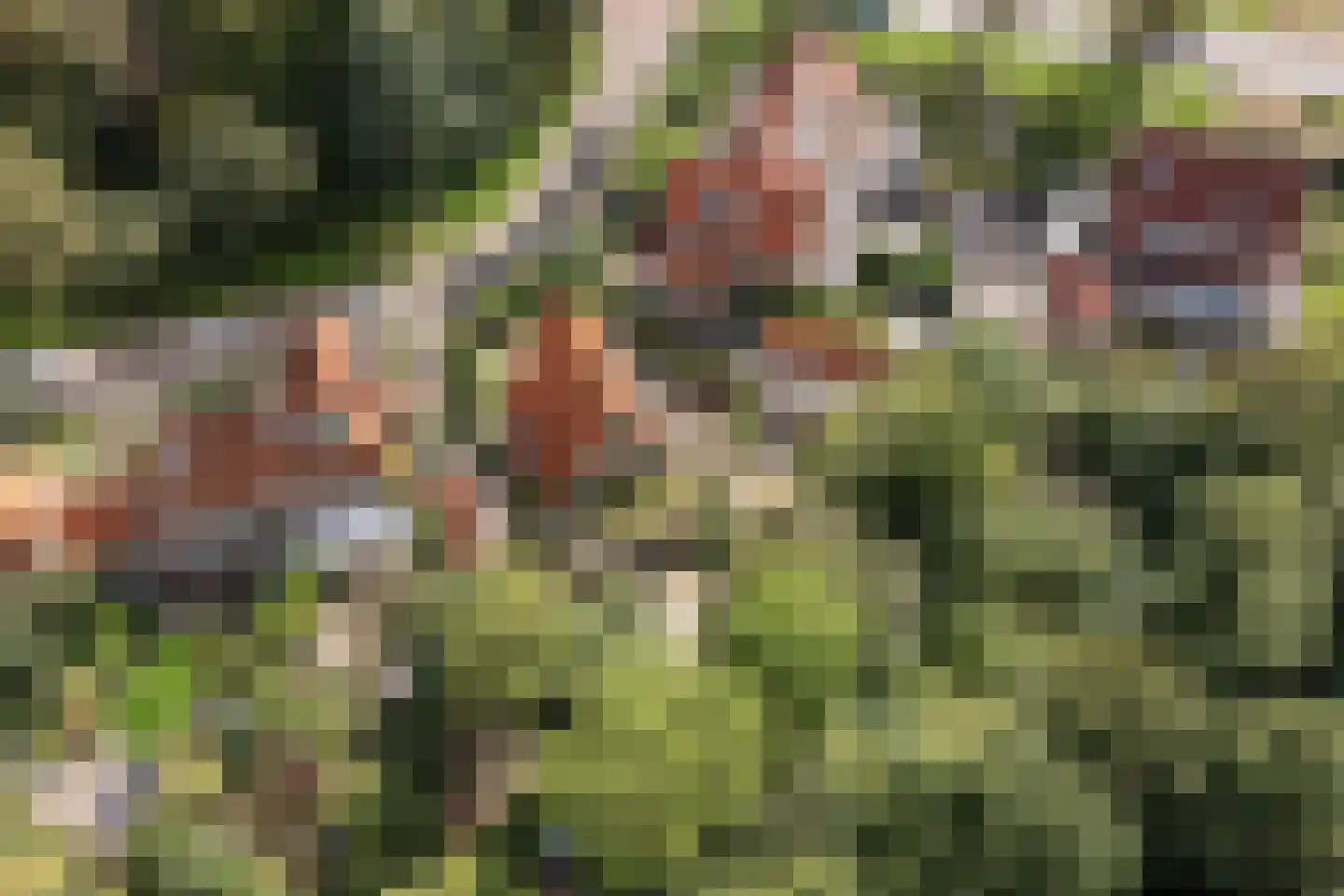 Jan Tooropplantsoen 12 Amstelveen thumbnail 50