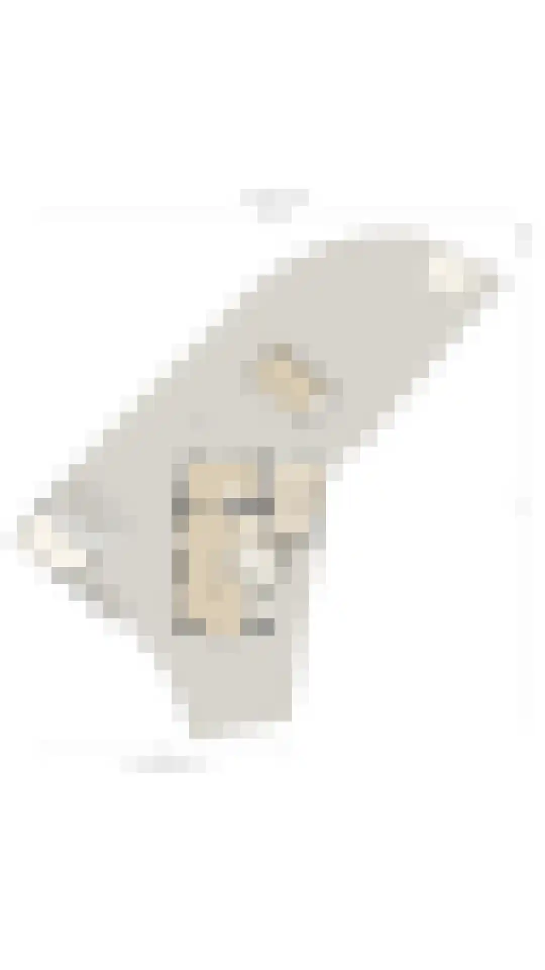 Jan Tooropplantsoen 12 Amstelveen thumbnail 63