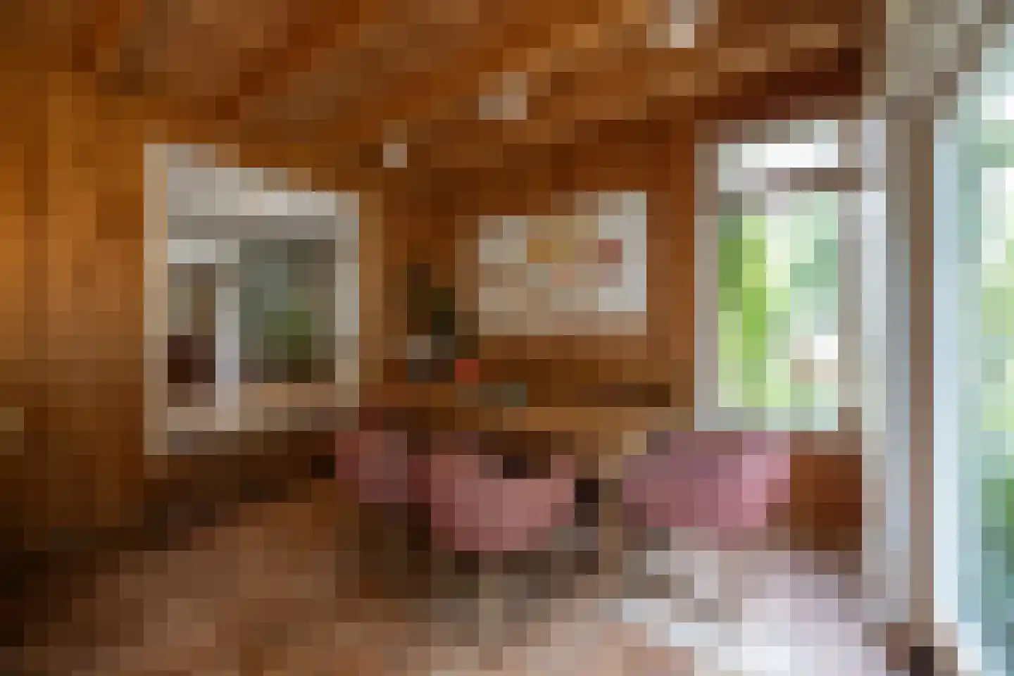 Jan Tooropplantsoen 12 Amstelveen thumbnail 9