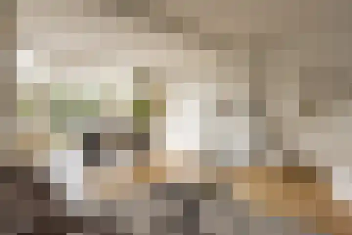 Jan Tooropplantsoen 2 Amstelveen thumbnail 11