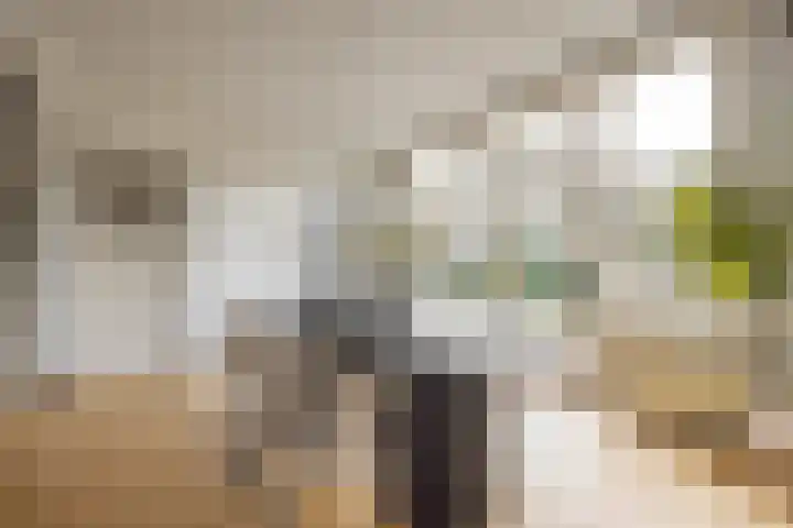 Jan Tooropplantsoen 2 Amstelveen thumbnail 13