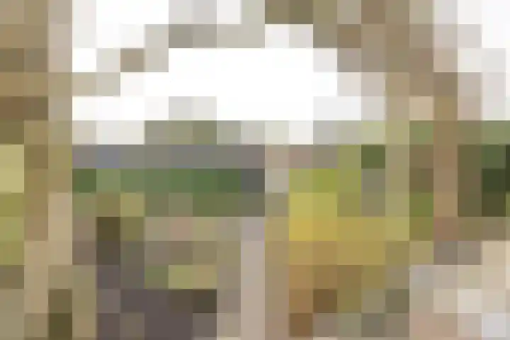 Jan Tooropplantsoen 2 Amstelveen thumbnail 14