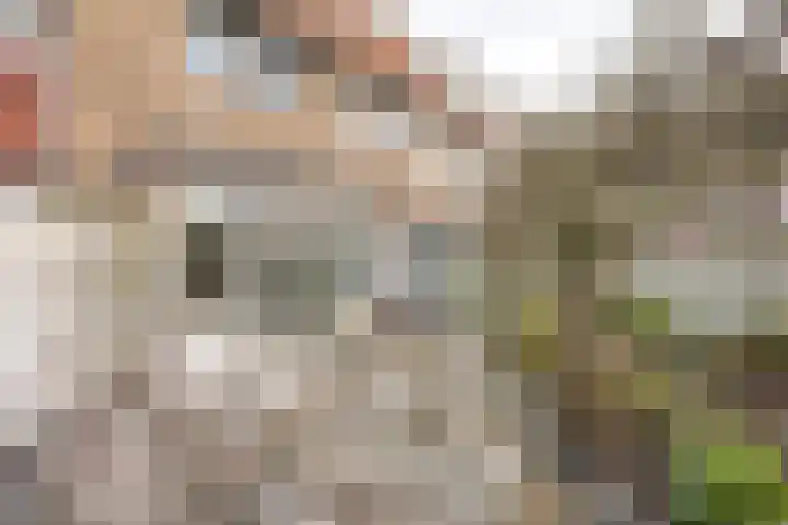 Jan Tooropplantsoen 2 Amstelveen thumbnail 15
