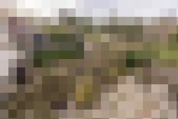 Jan Tooropplantsoen 2 Amstelveen thumbnail 16