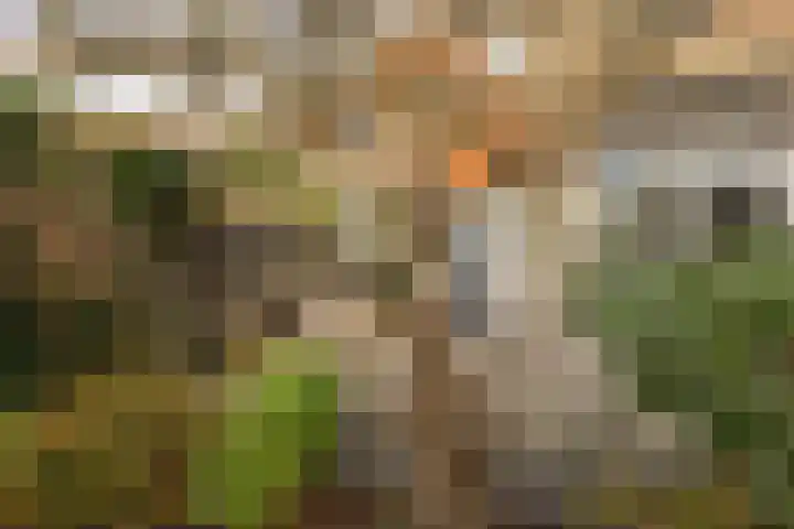 Jan Tooropplantsoen 2 Amstelveen thumbnail 18