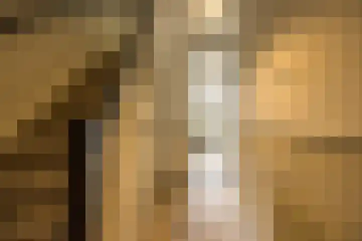 Jan Tooropplantsoen 2 Amstelveen thumbnail 20