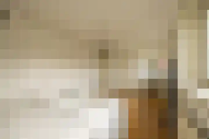 Jan Tooropplantsoen 2 Amstelveen thumbnail 25