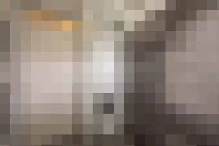 Jan Tooropplantsoen 2 Amstelveen thumbnail 28