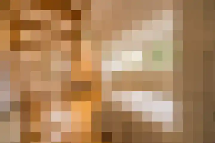 Jan Tooropplantsoen 2 Amstelveen thumbnail 29