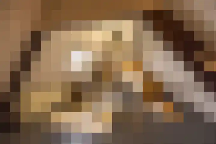 Jan Tooropplantsoen 2 Amstelveen thumbnail 31