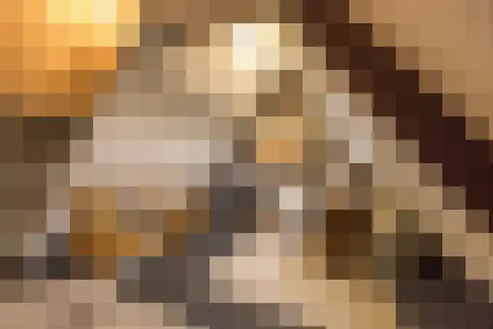 Jan Tooropplantsoen 2 Amstelveen thumbnail 32