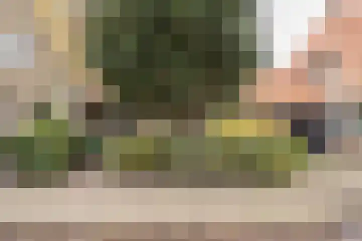 Jan Tooropplantsoen 2 Amstelveen thumbnail 35