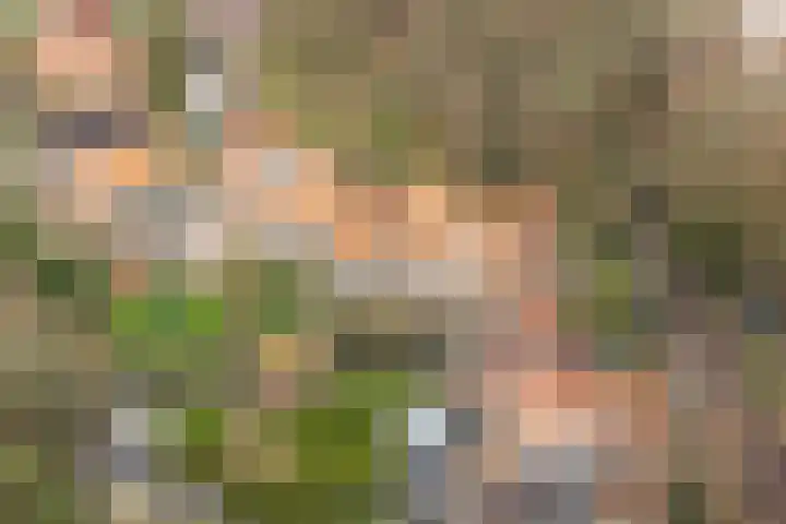 Jan Tooropplantsoen 2 Amstelveen thumbnail 38