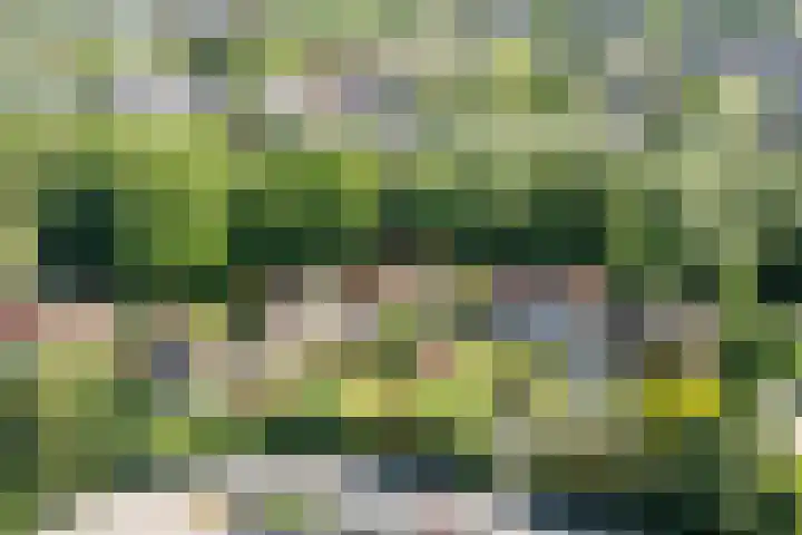 Jan Tooropplantsoen 2 Amstelveen thumbnail 41